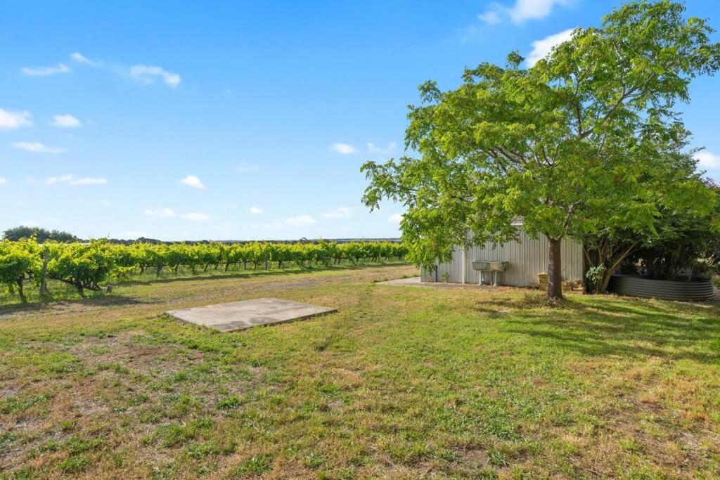 Cottage in the Vineyard - Sleeps 4, Vineyard Views