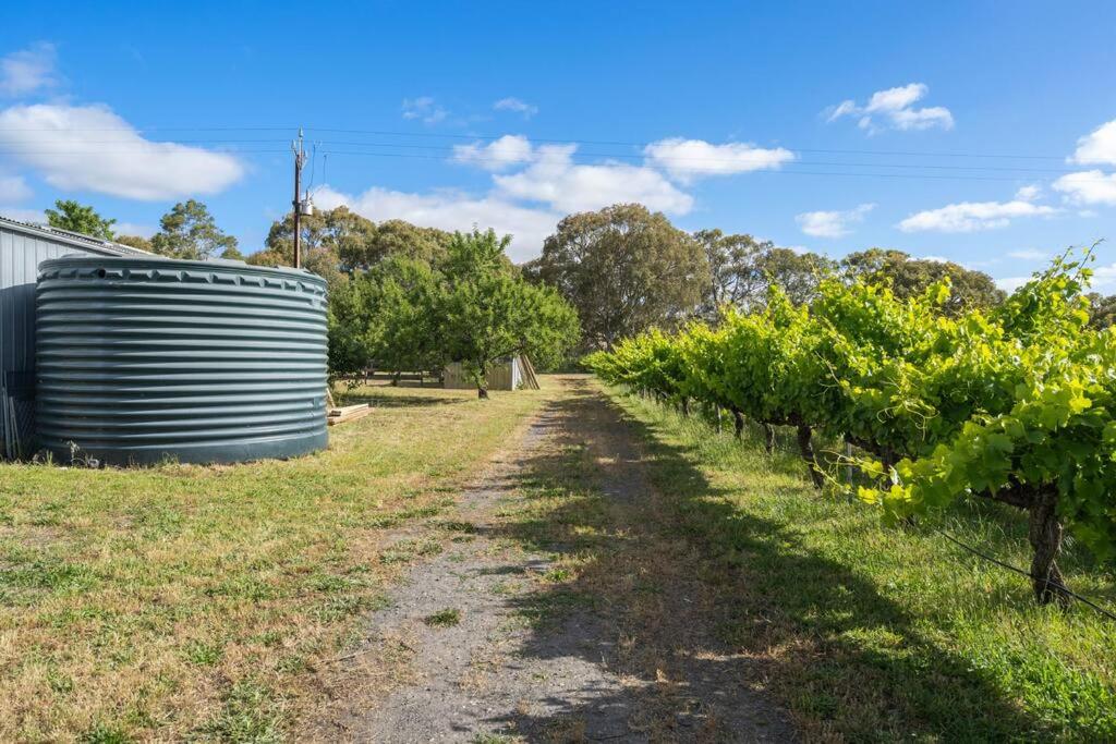 Cottage in the Vineyard - Sleeps 4, Vineyard Views