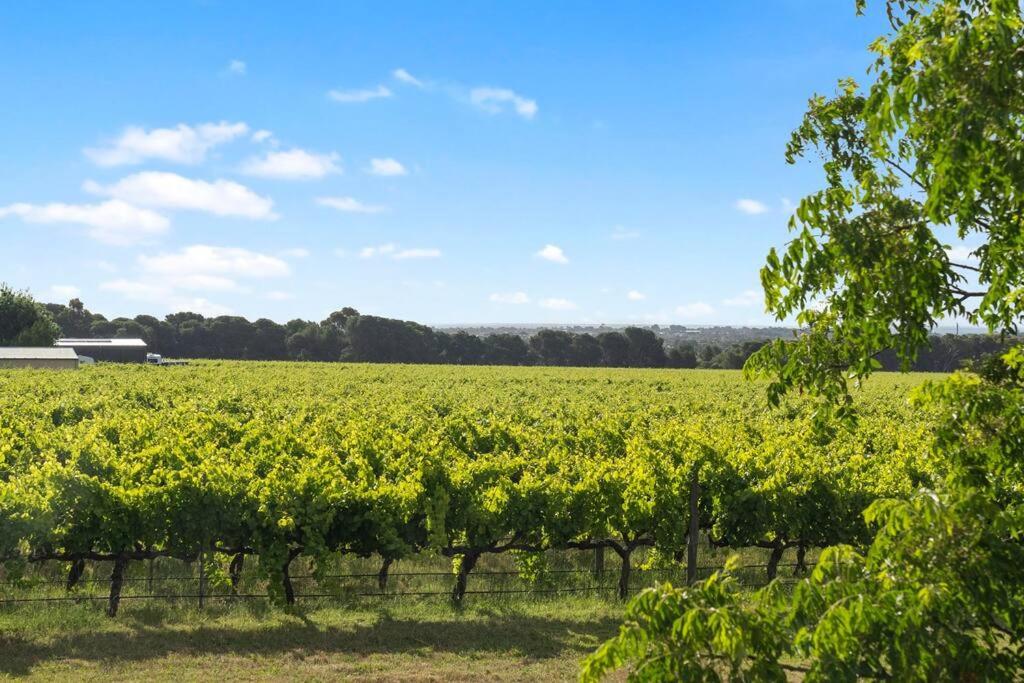 Cottage in the Vineyard - Sleeps 4, Vineyard Views