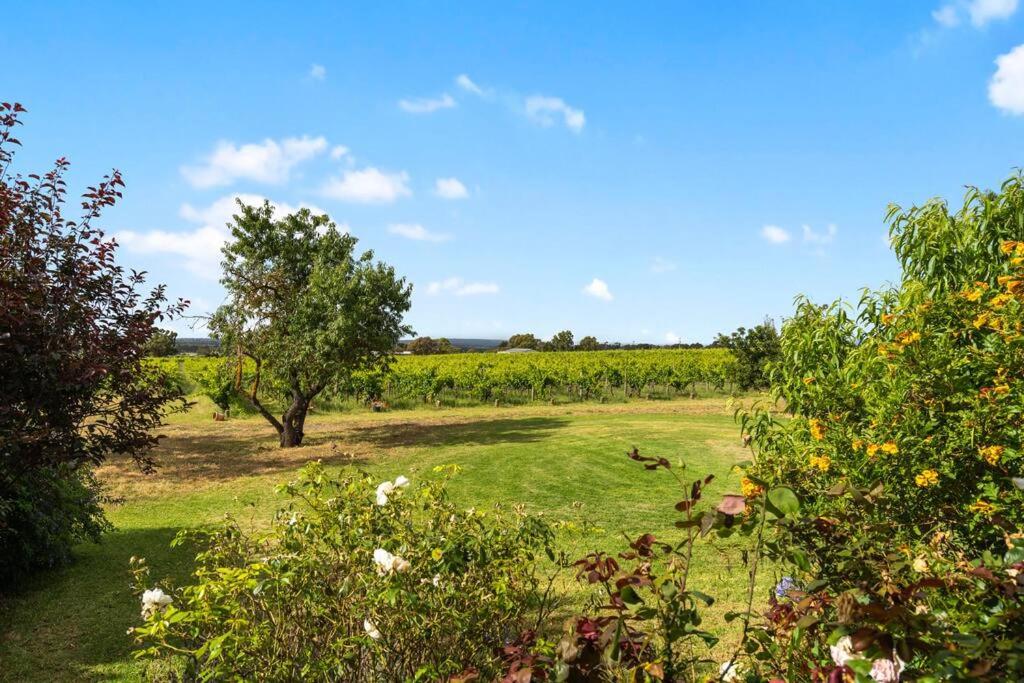 Cottage in the Vineyard - Sleeps 4, Vineyard Views
