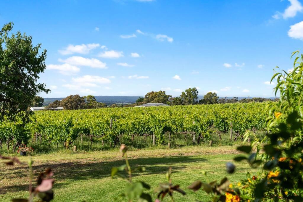 Cottage in the Vineyard - Sleeps 4, Vineyard Views