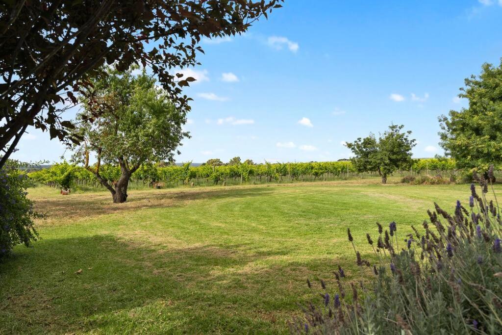 Cottage in the Vineyard - Sleeps 4, Vineyard Views