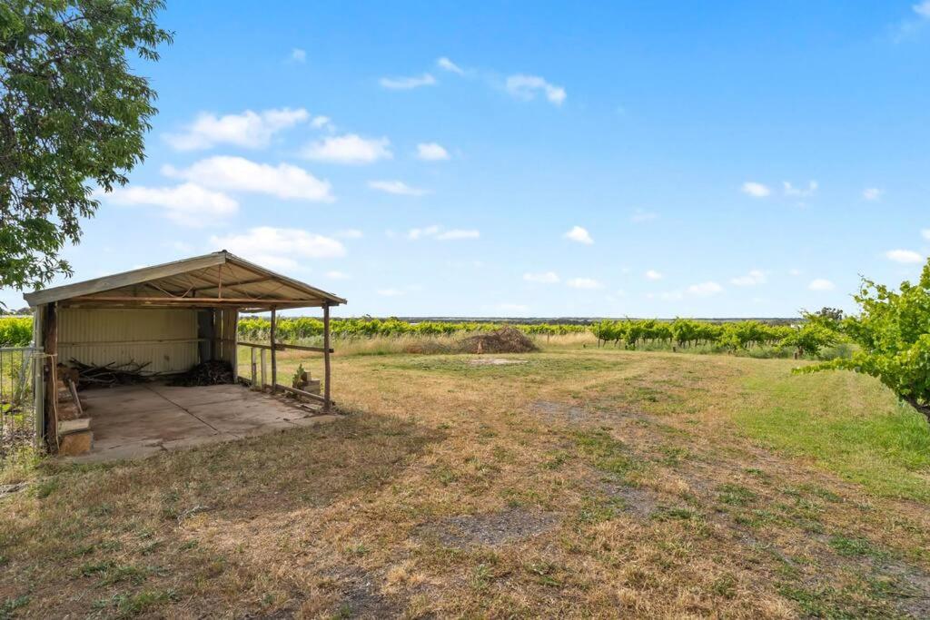 Cottage in the Vineyard - Sleeps 4, Vineyard Views