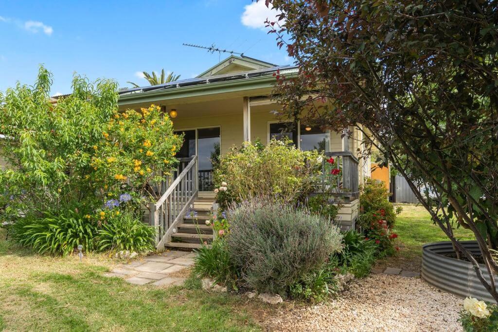 Cottage in the Vineyard - Sleeps 4, Vineyard Views