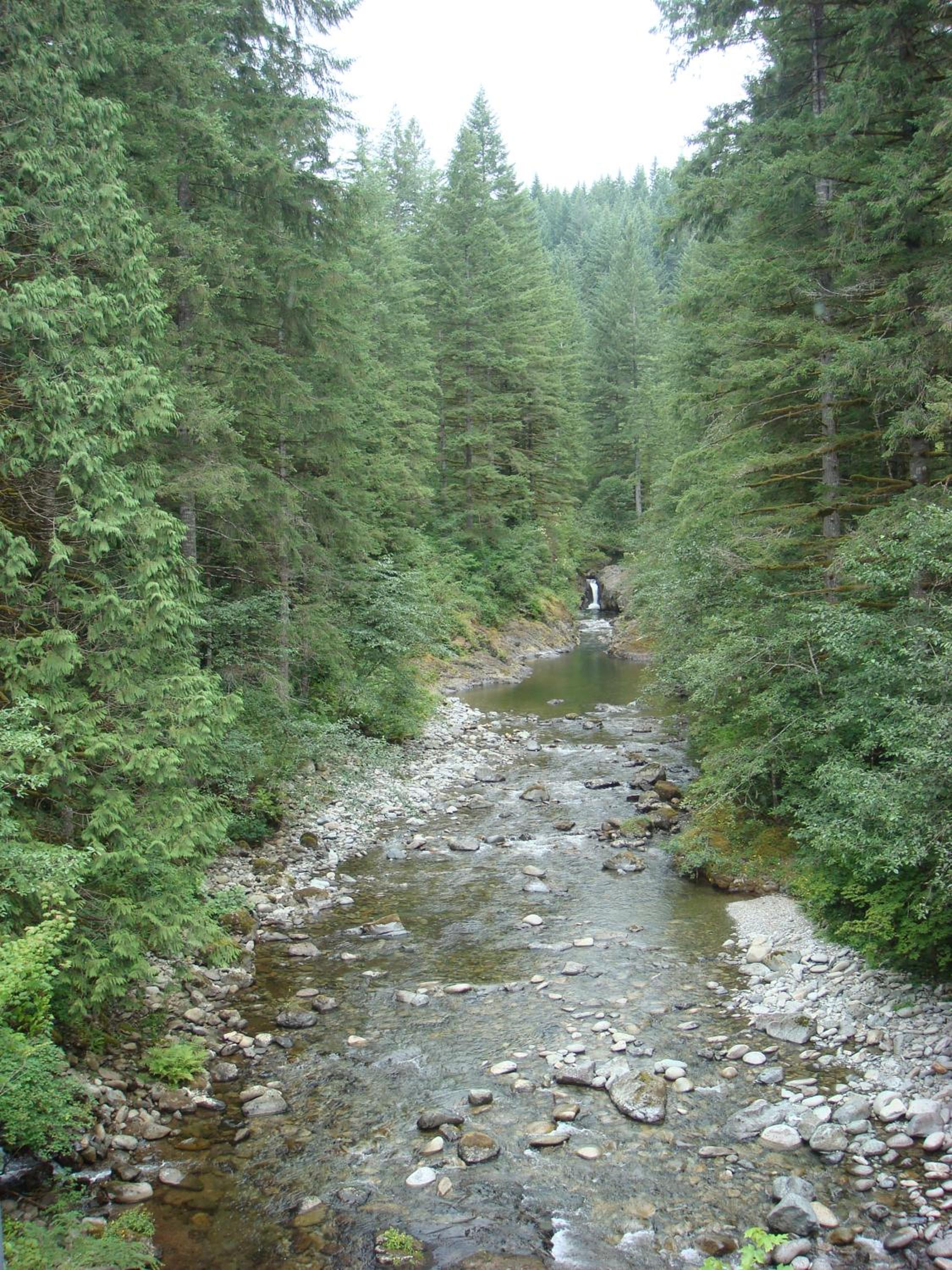 Photo 33