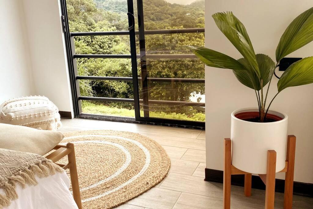 Calma, Monteverde - Expect Serenity Here