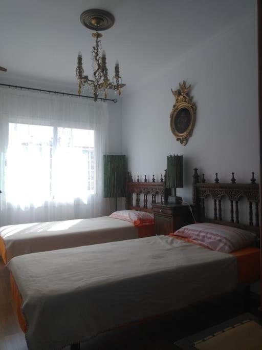 Luxury Apartamenty