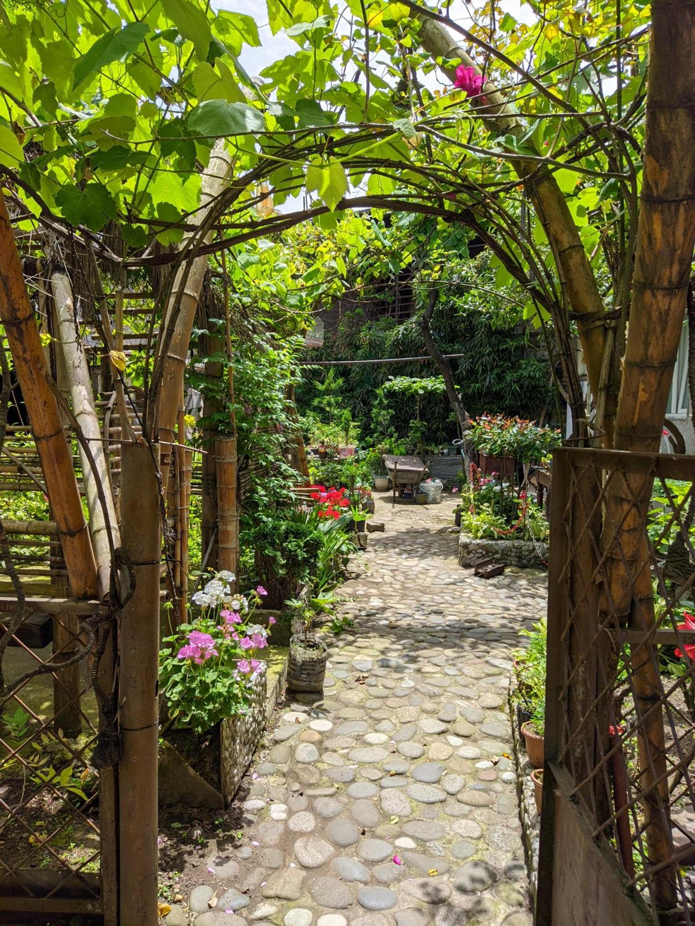 Oasis of calm in Batumi