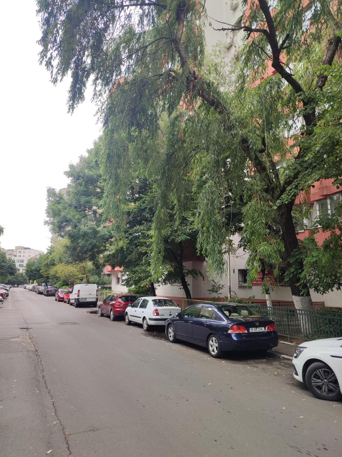 Photo 37