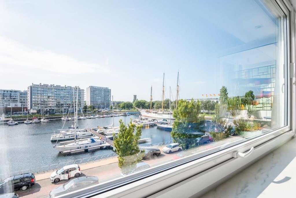 View of the yacht port