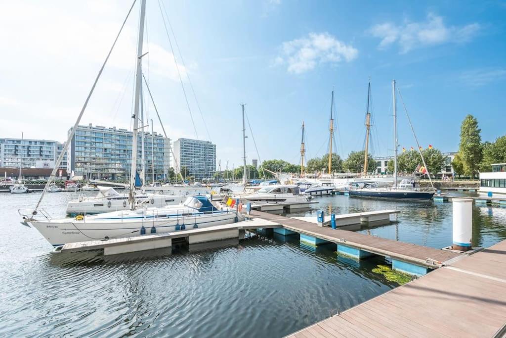View of the yacht port