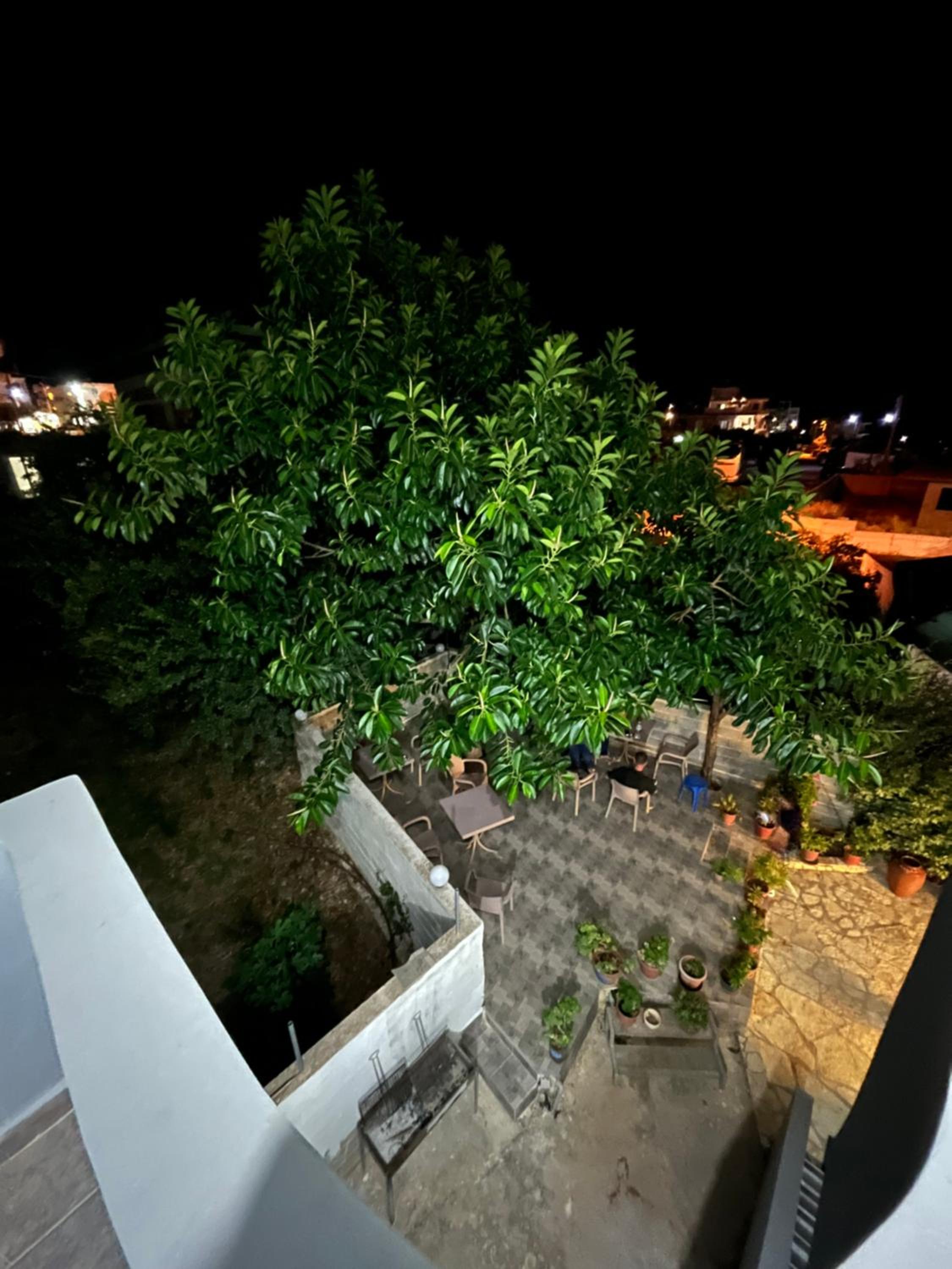 Studio Apartments Rizarjo