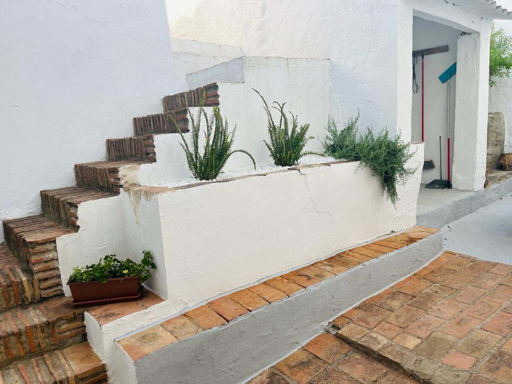 Casa Rural Doña Catalina