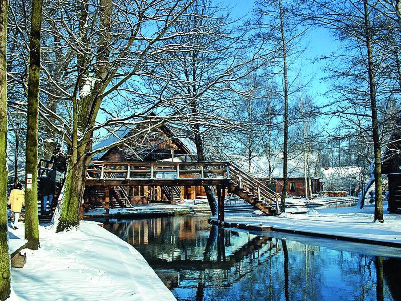 Modernes Ferienhaus nahe Spreewald-Idylle