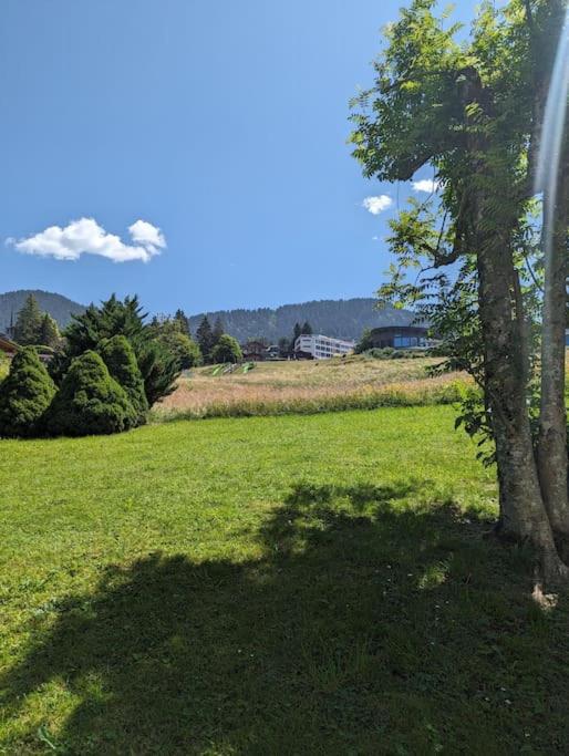 Rare, quite & centered Apartment with Garden & Fireplace