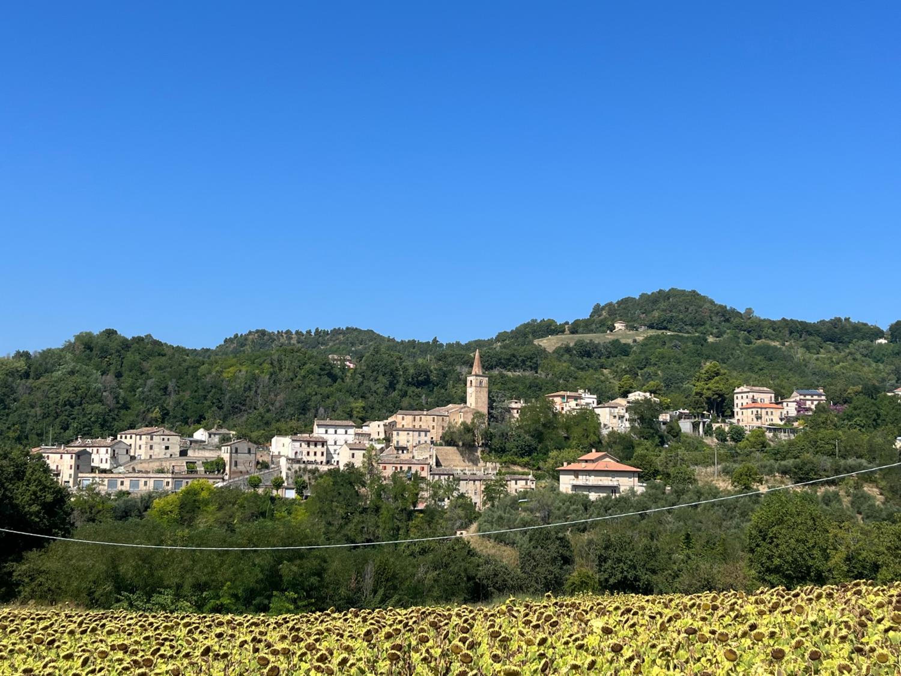 Casa Rosy nel borgo di Patrignone view 3