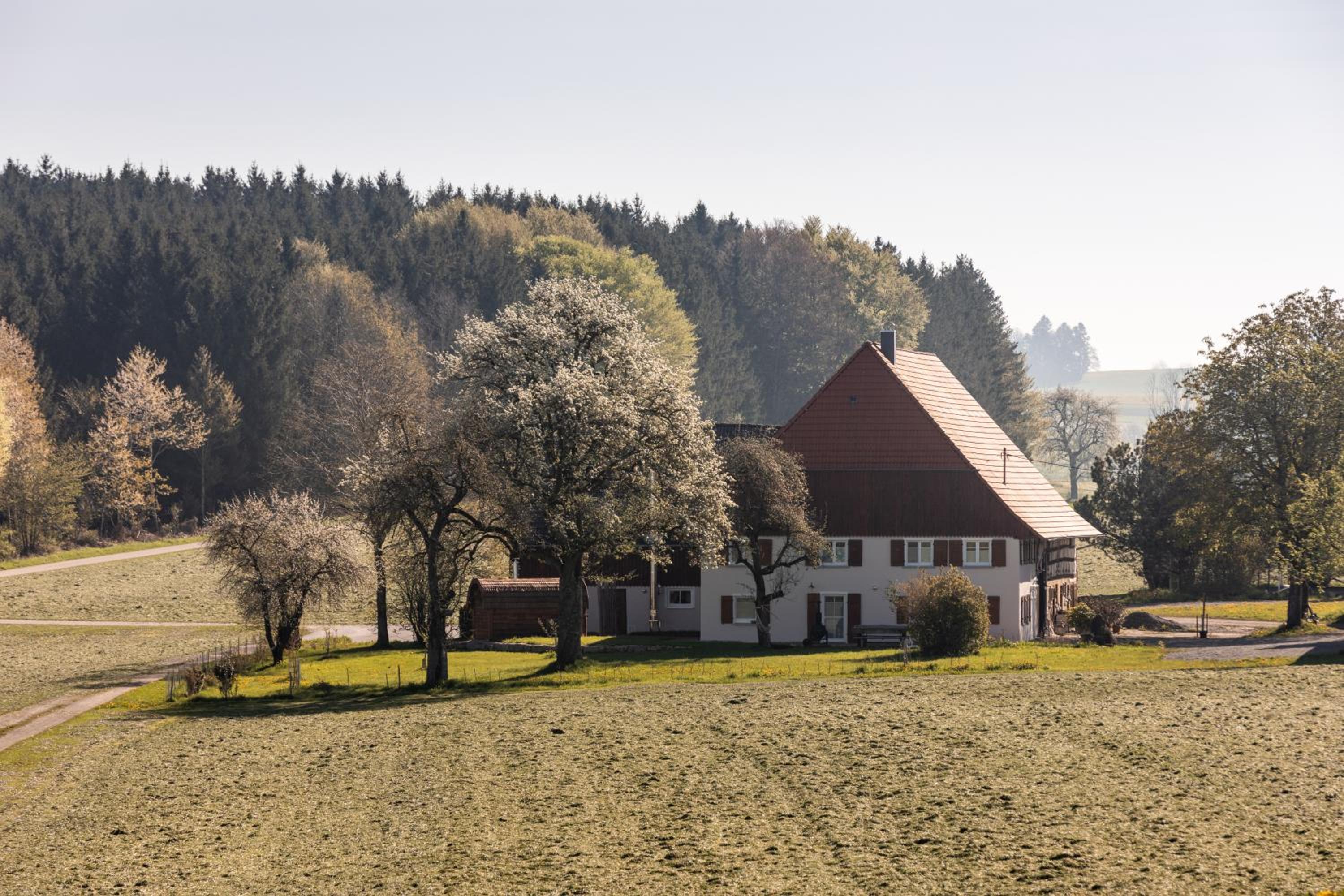 Ferienhof Greuthof