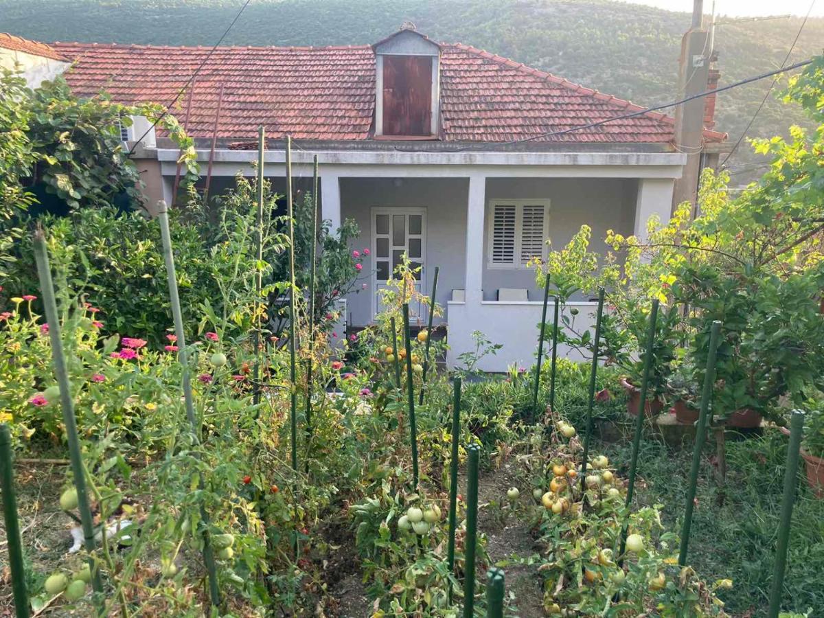 Marija Apartment