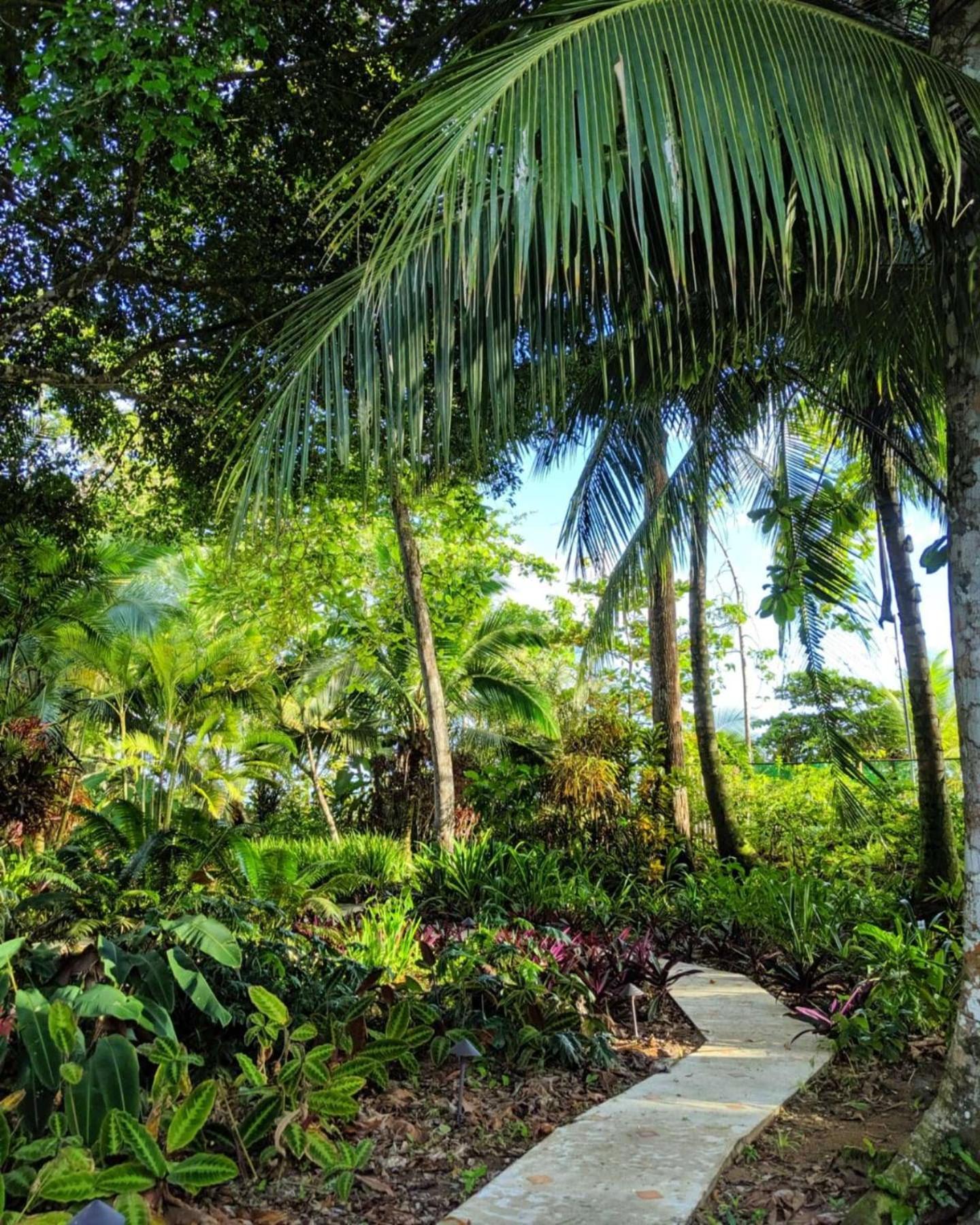 Bluff Beach Retreat