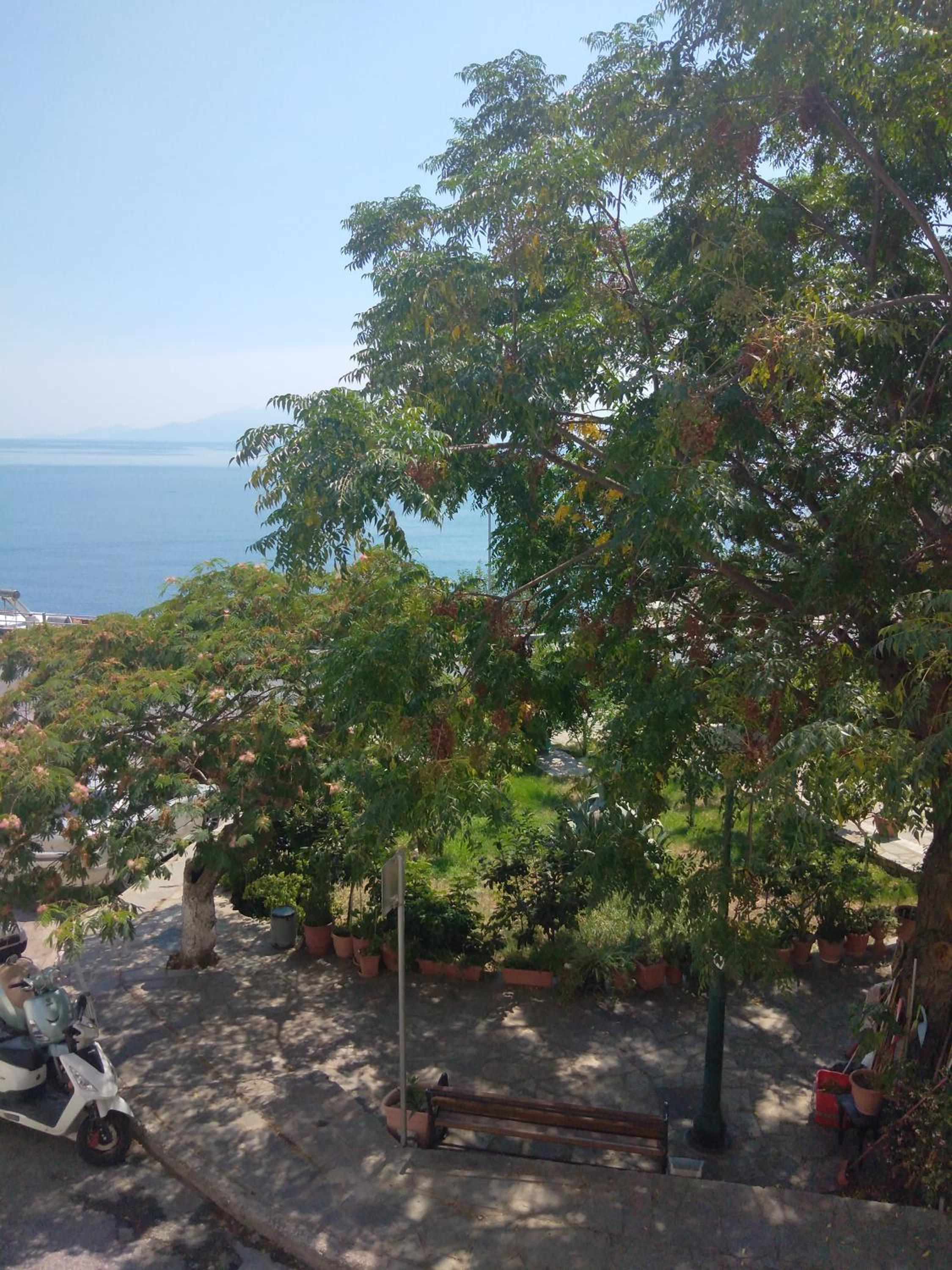 the park studio view 3