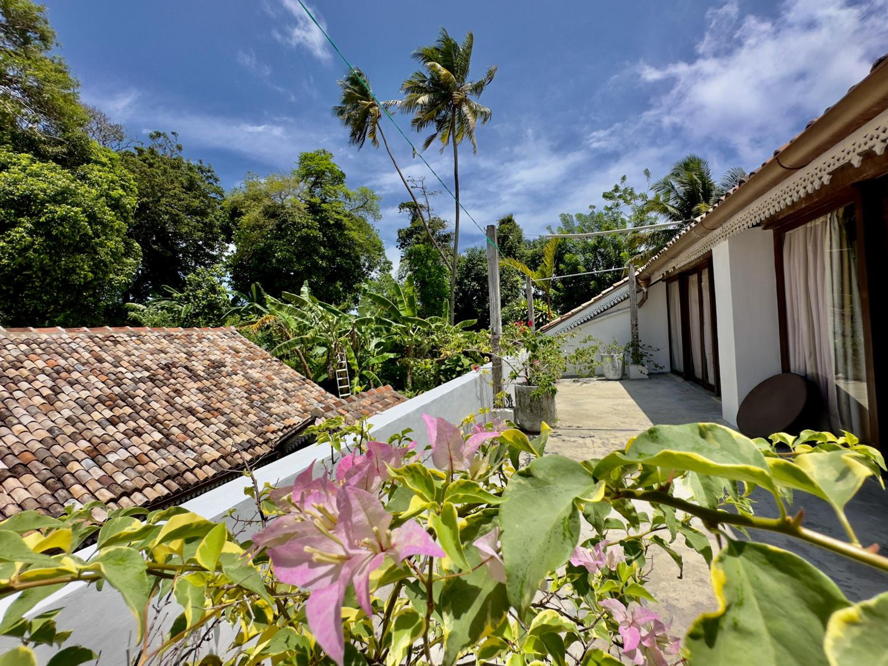 Foozoo Mantra Weligama