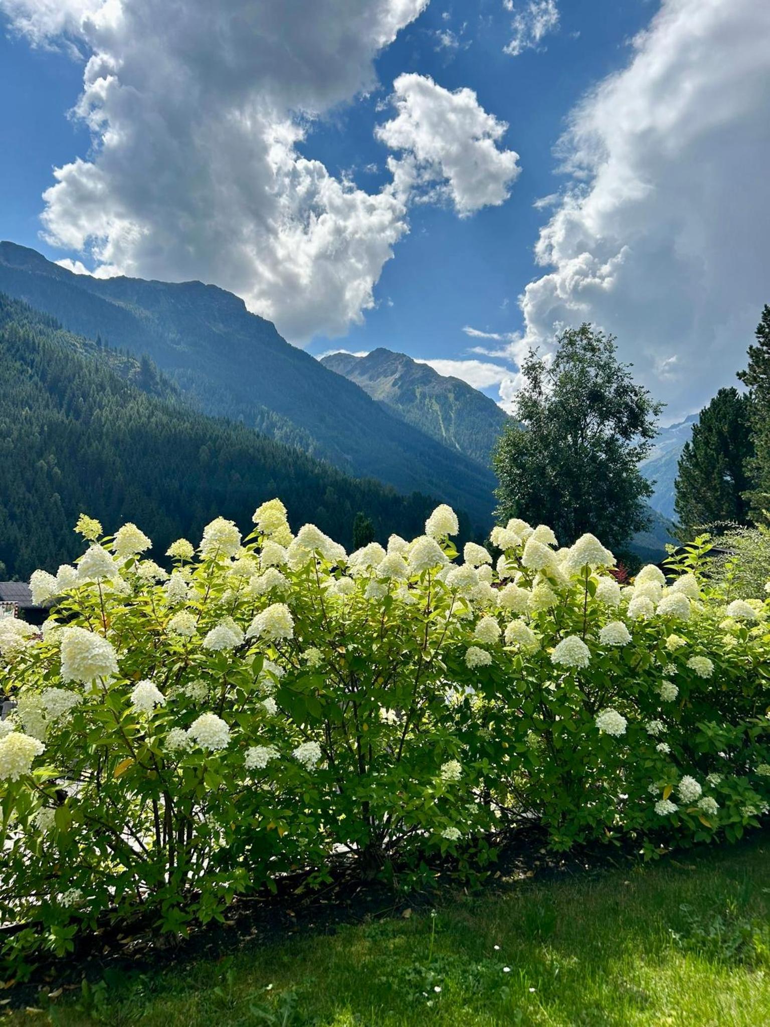 Ferienwohnung Wald view 2