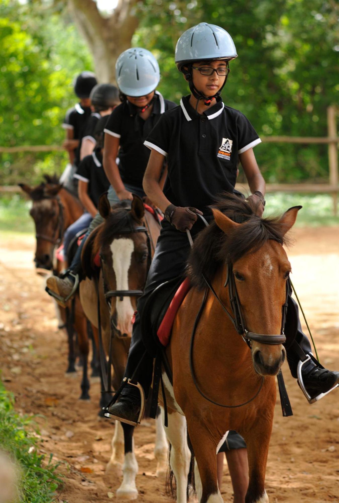 Olive Farm @ Embassy International Riding School