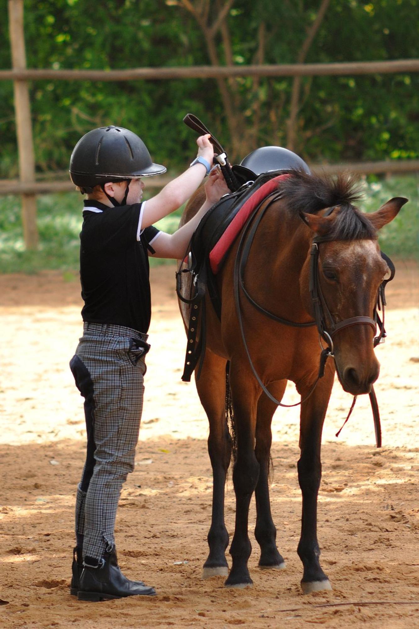 Olive Farm @ Embassy International Riding School