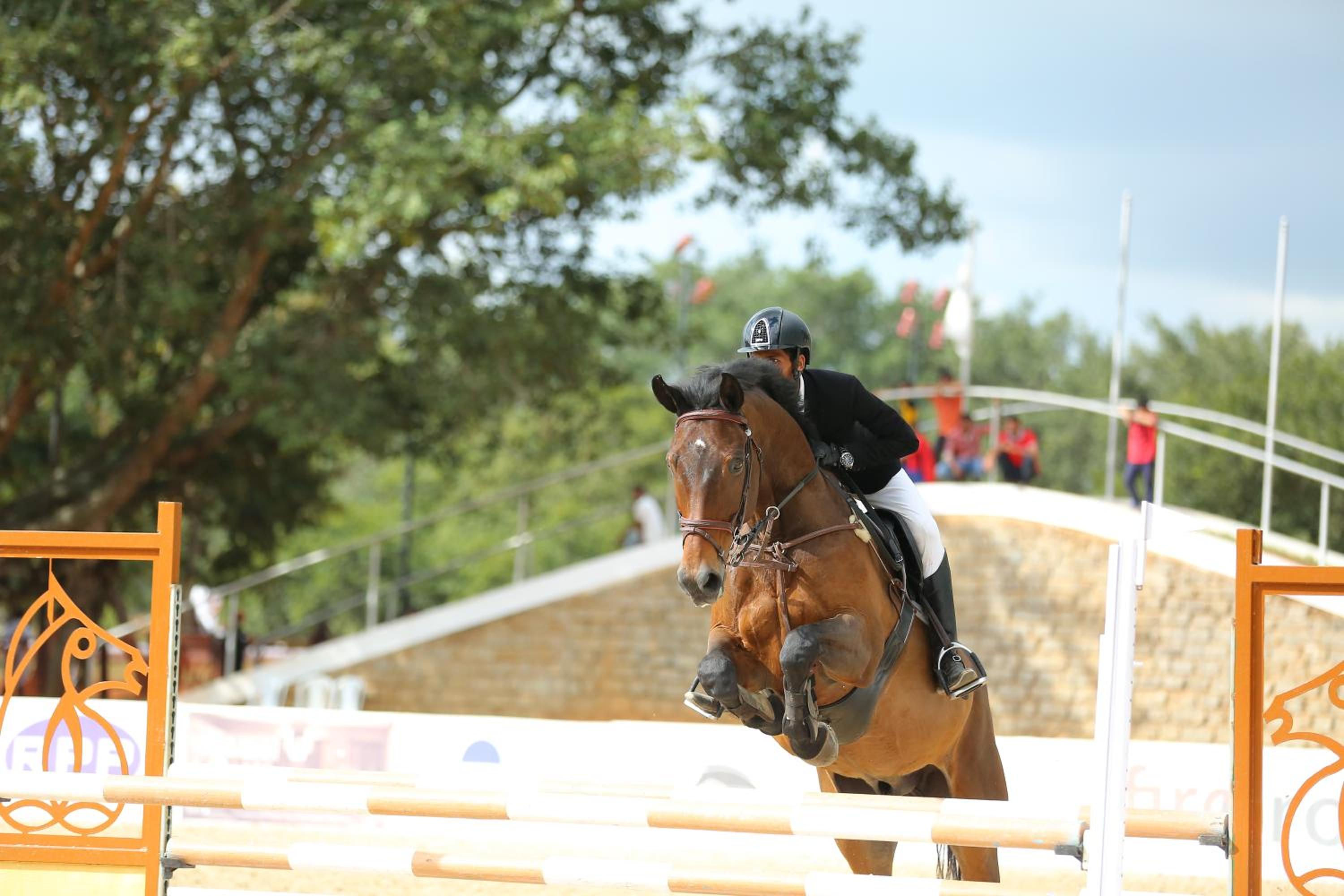 Olive Farm @ Embassy International Riding School