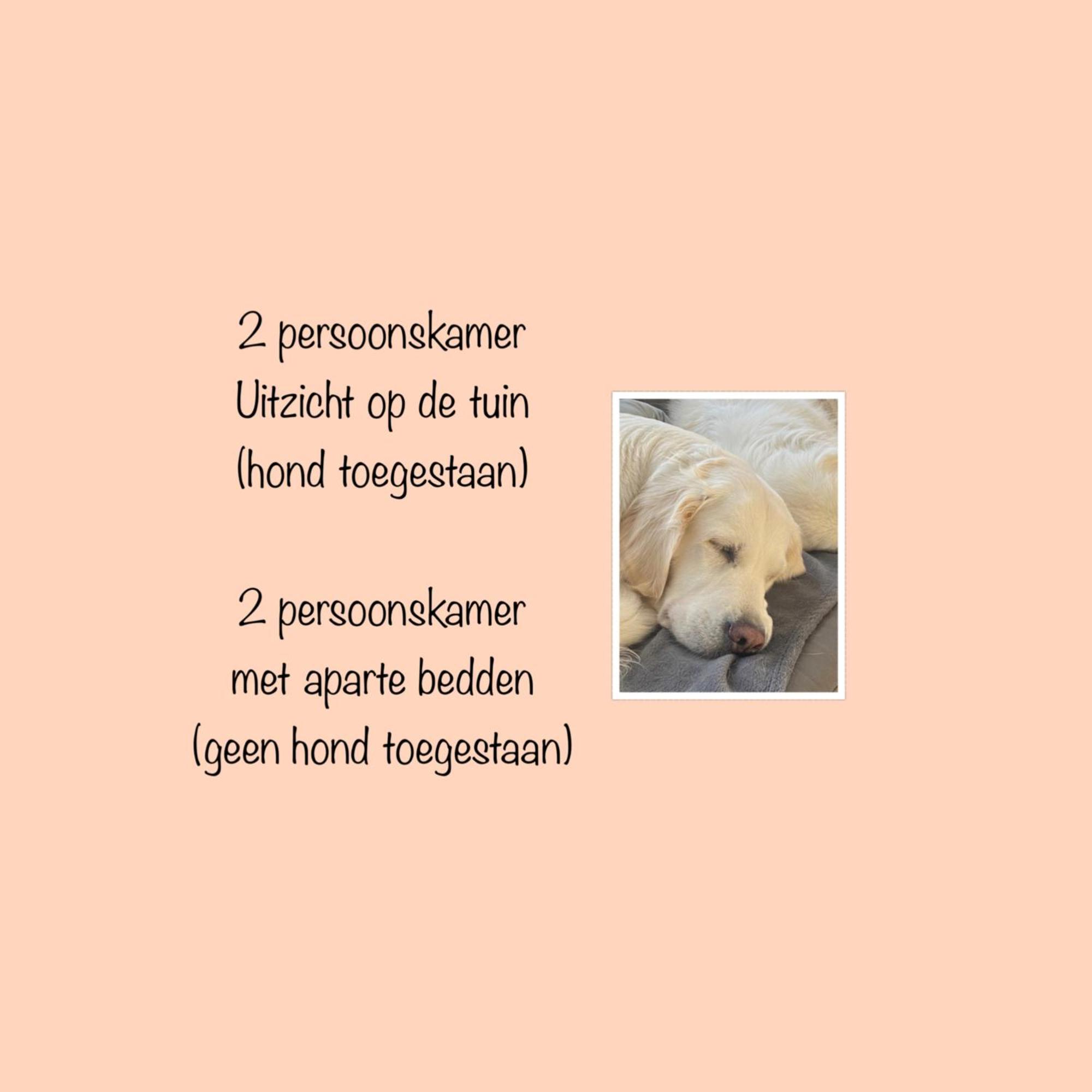 Zilt Texel view 2