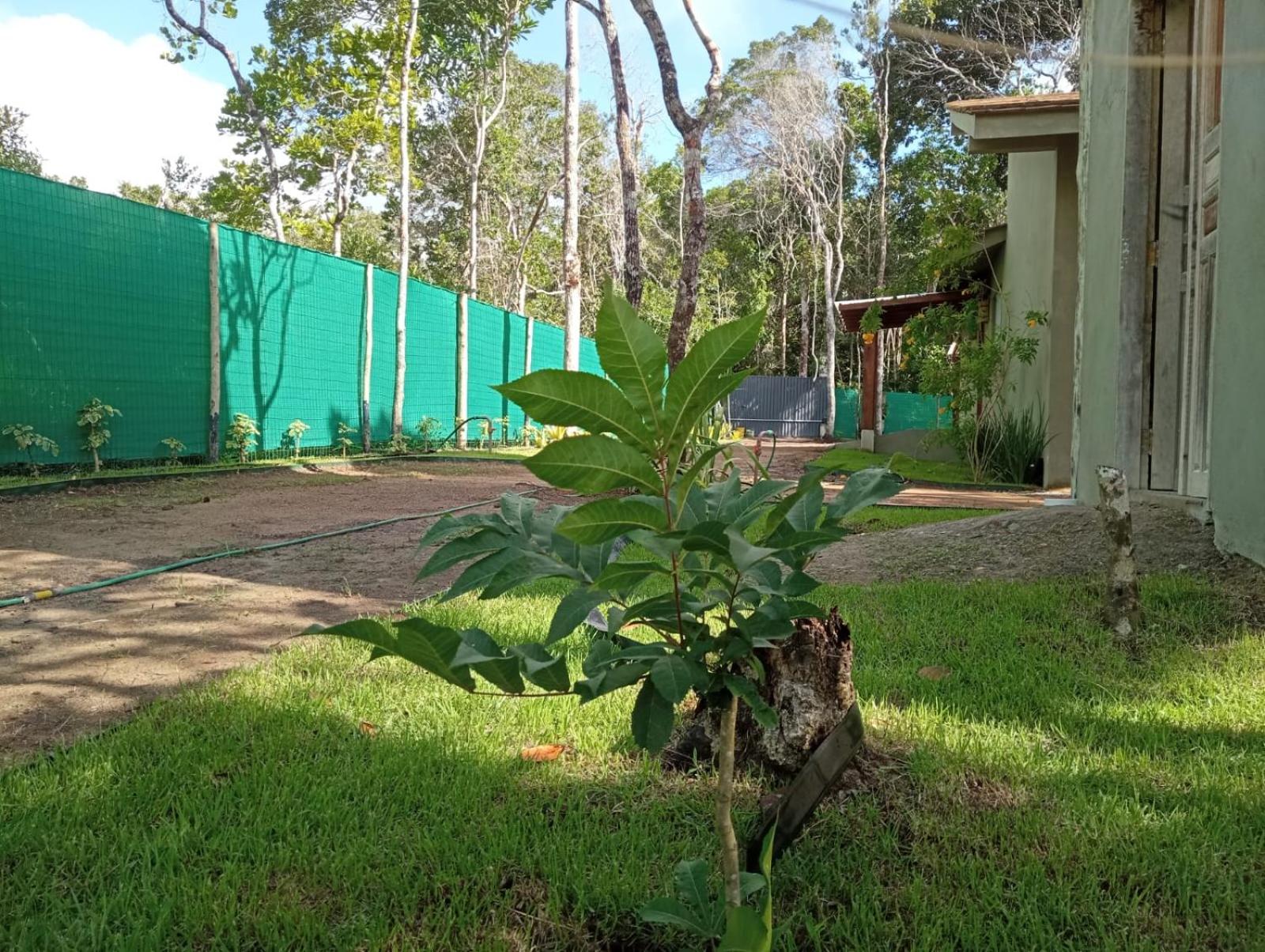 Casas Pitinga