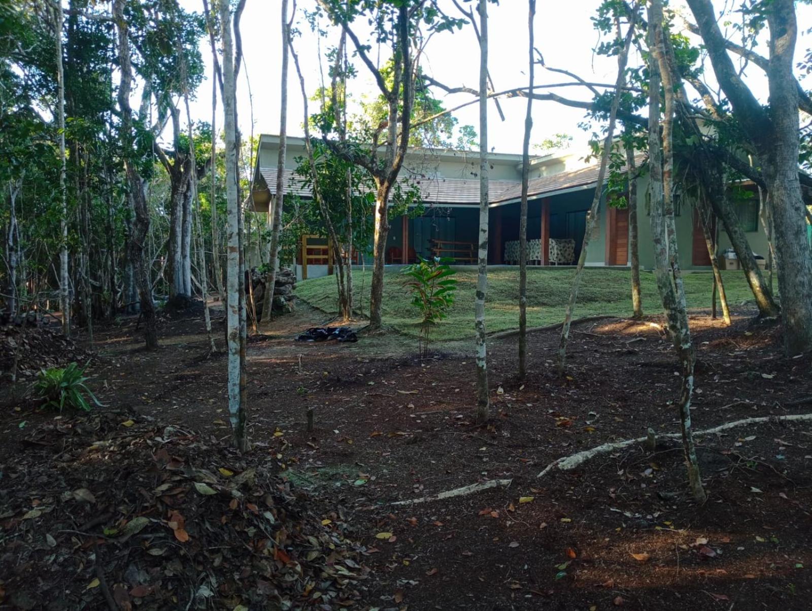 Casas Pitinga