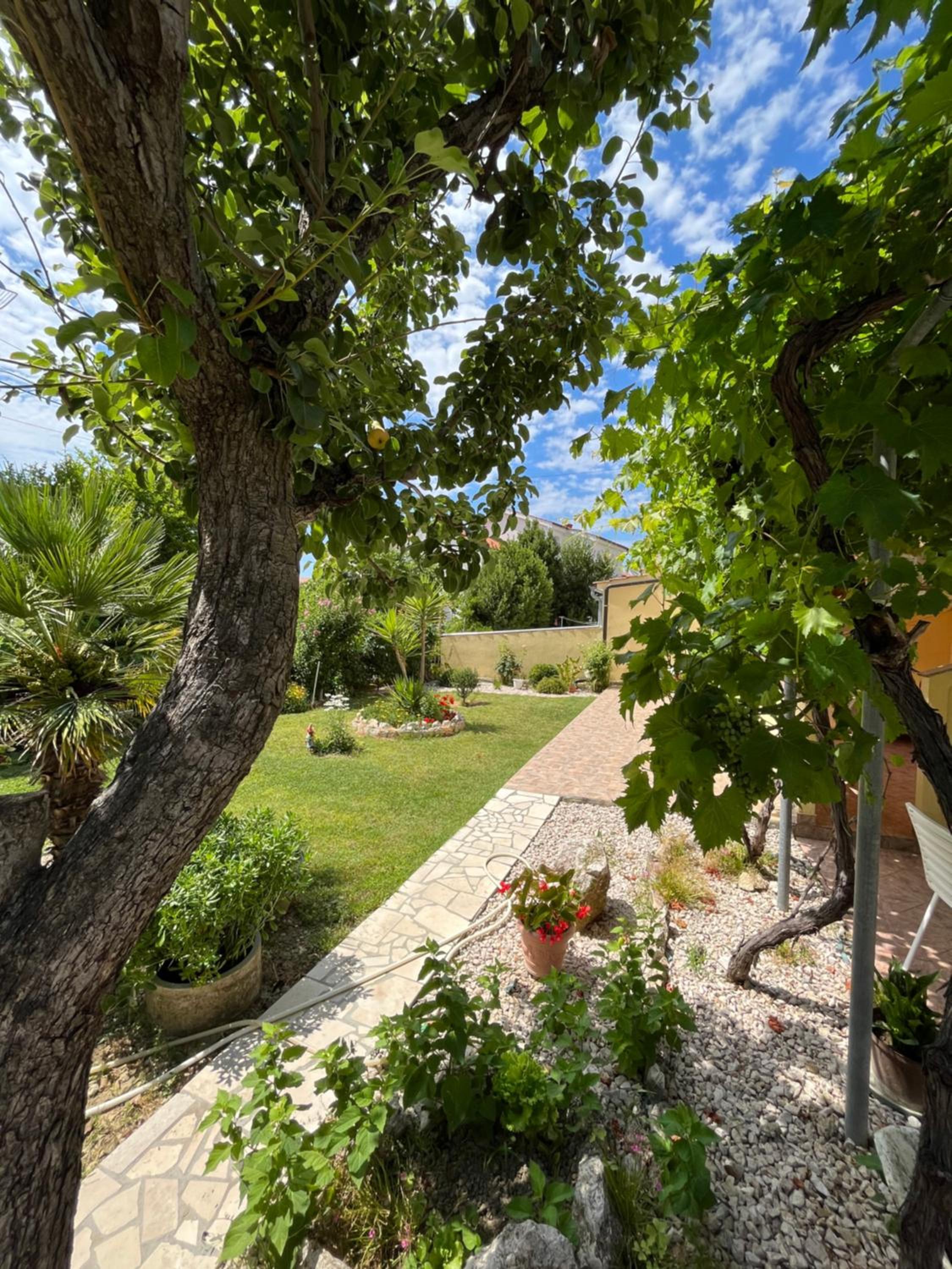 Apartments and Rooms Markovski