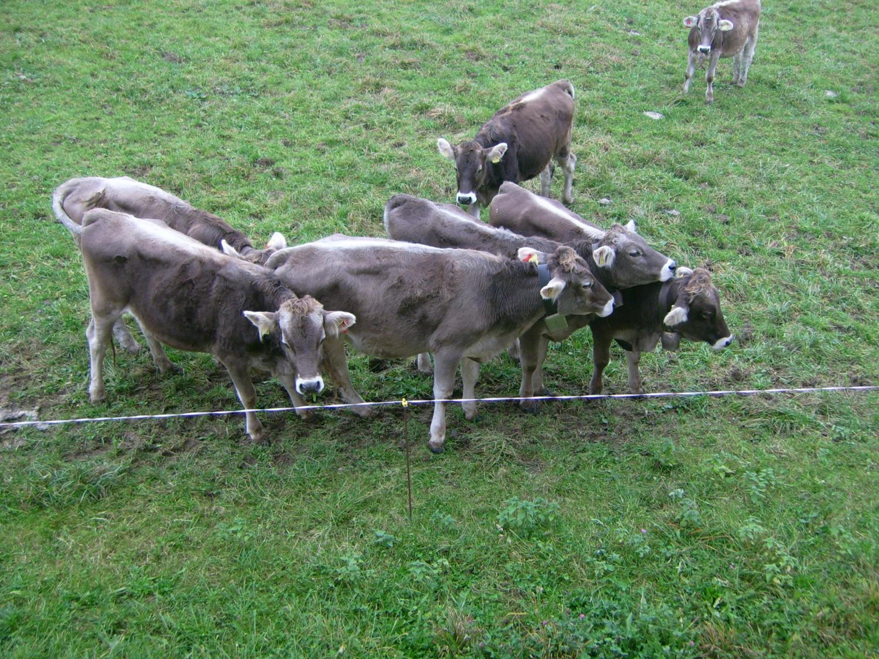 Am Angerbach