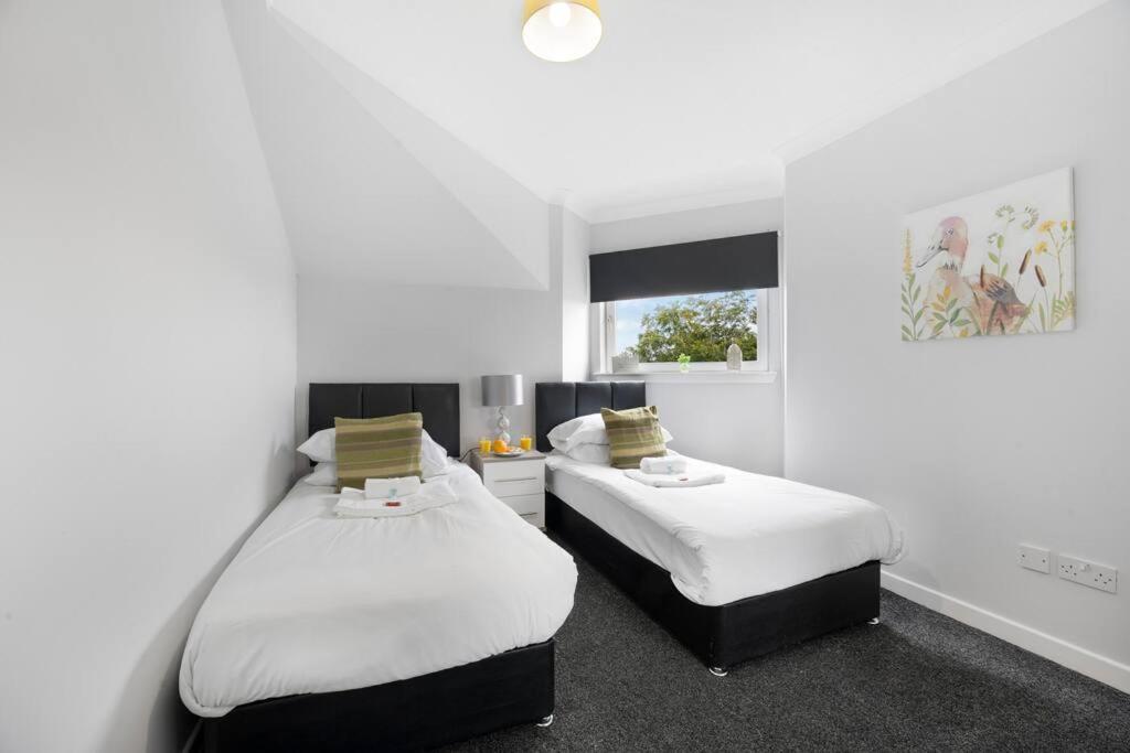 PREMIER - Clydesdale Apartment view 5