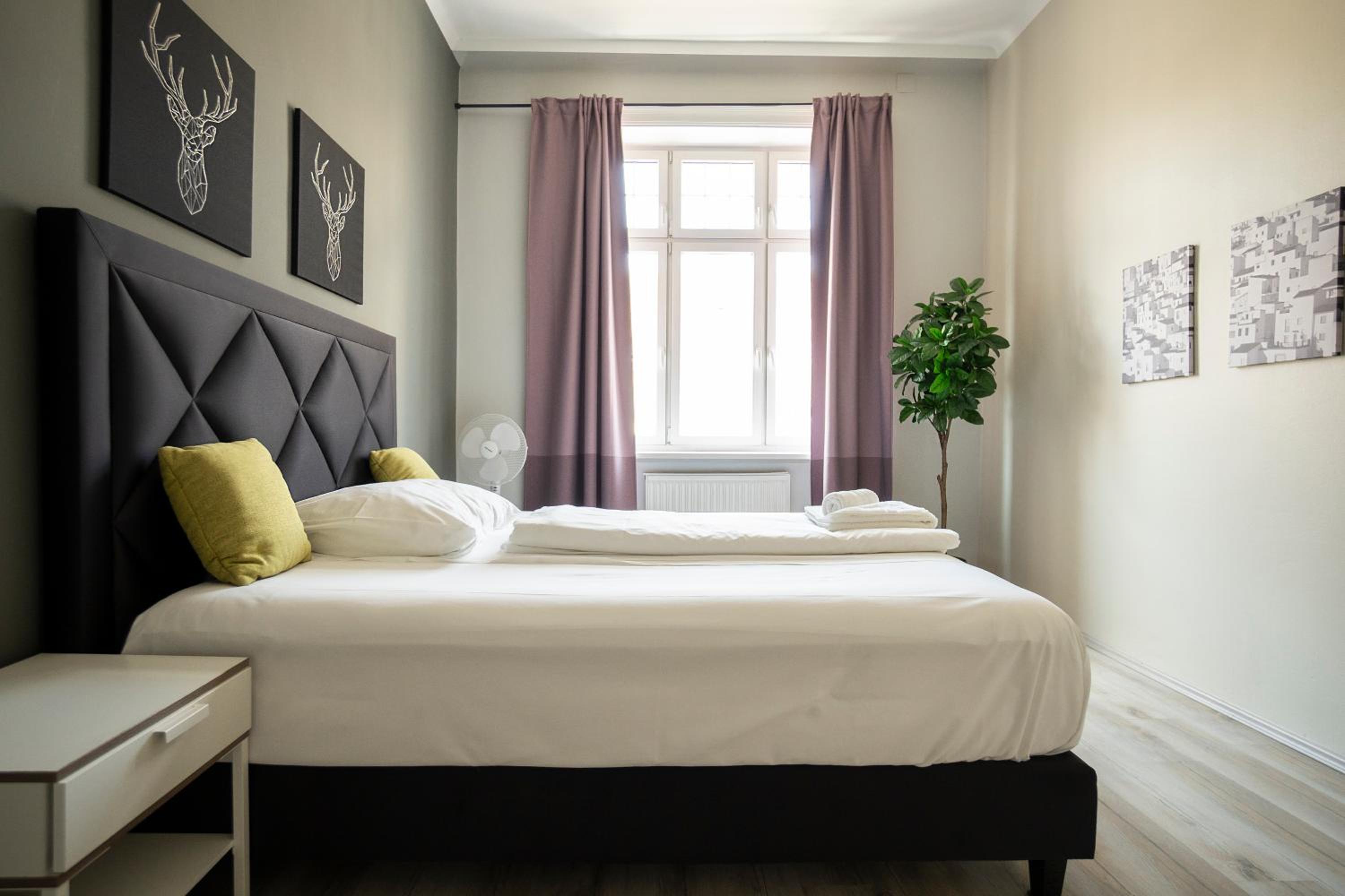 Brand new renovated appartment near Augarten