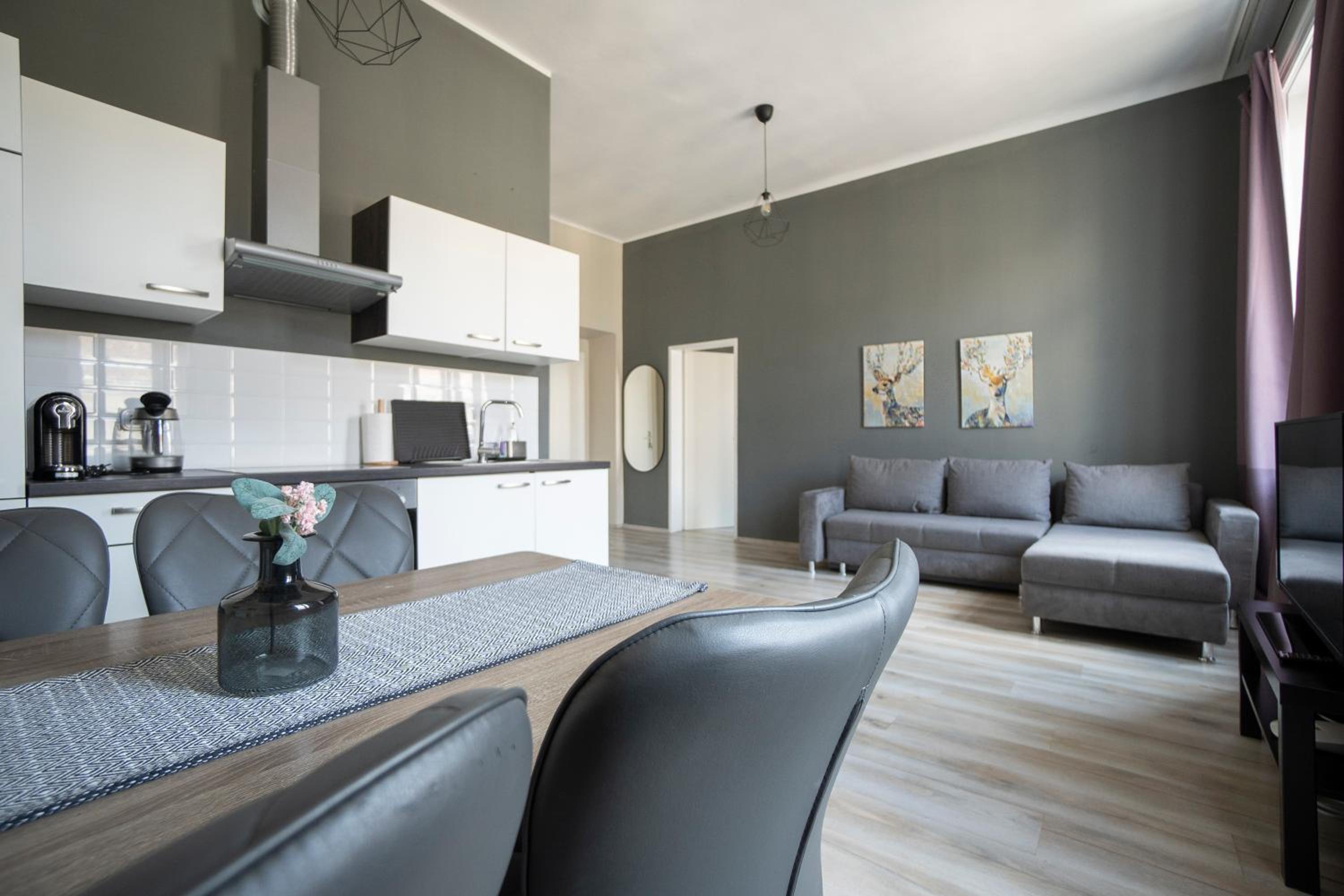 Brand new renovated appartment near Augarten