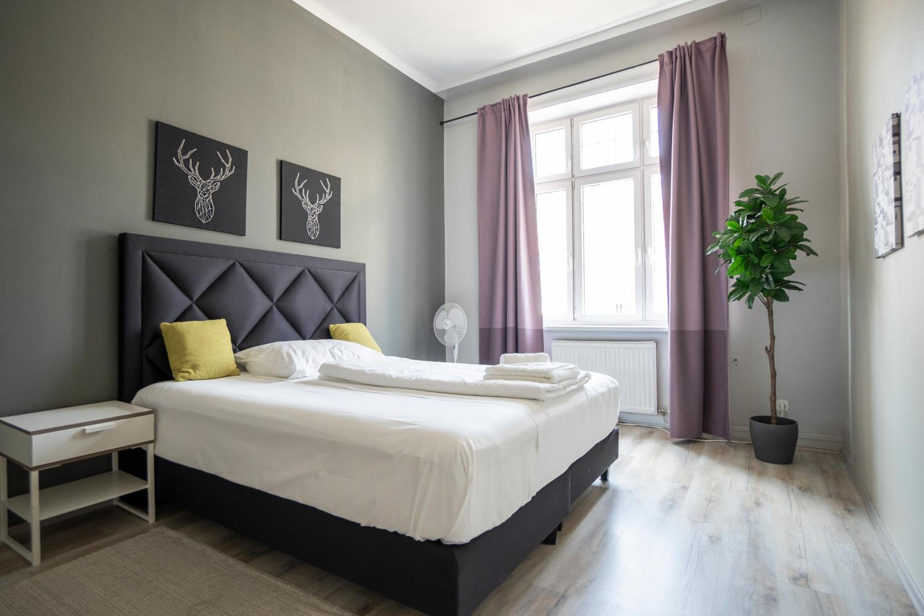 Brand new renovated appartment near Augarten