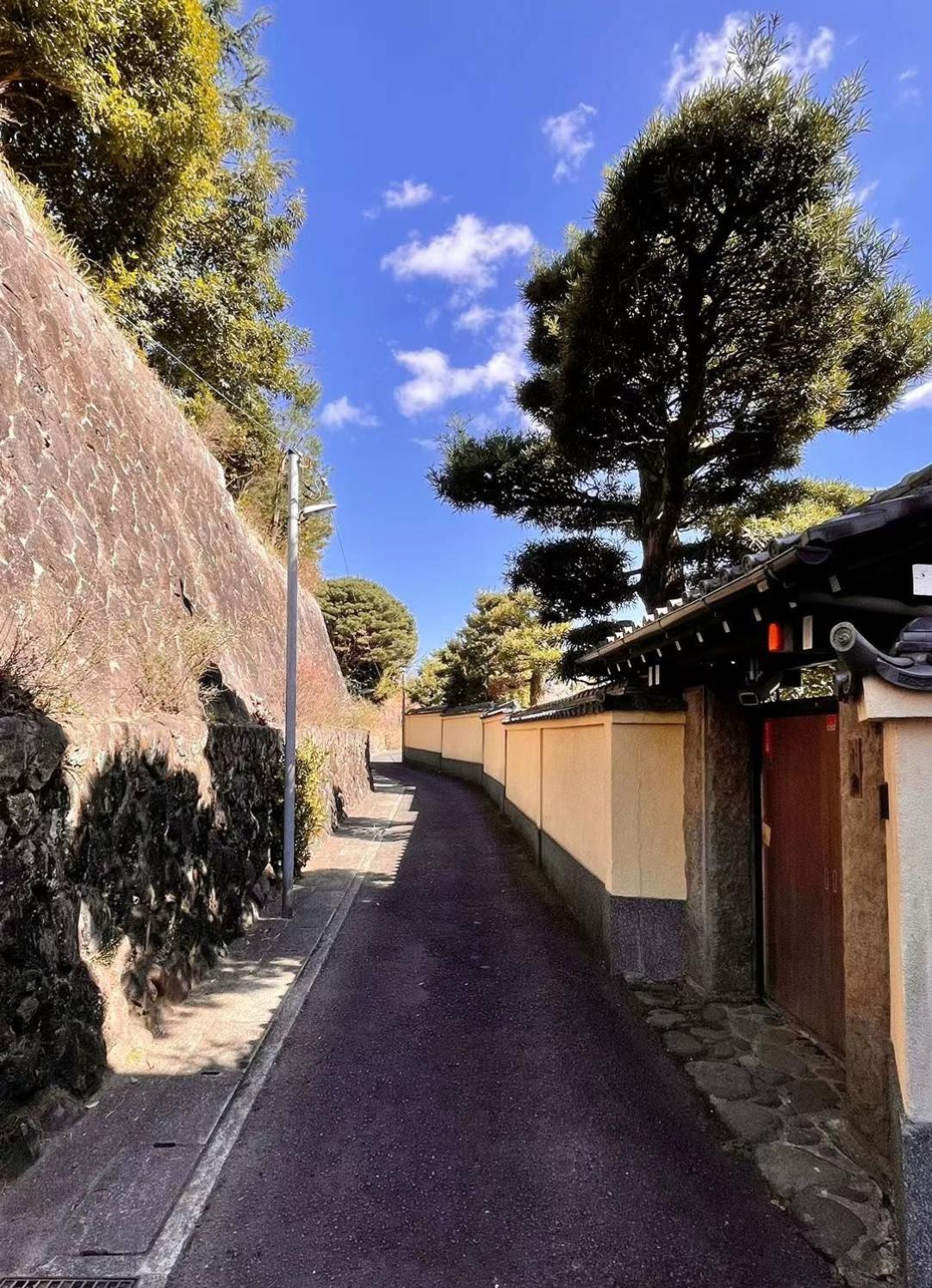 雅竹Miyabitake