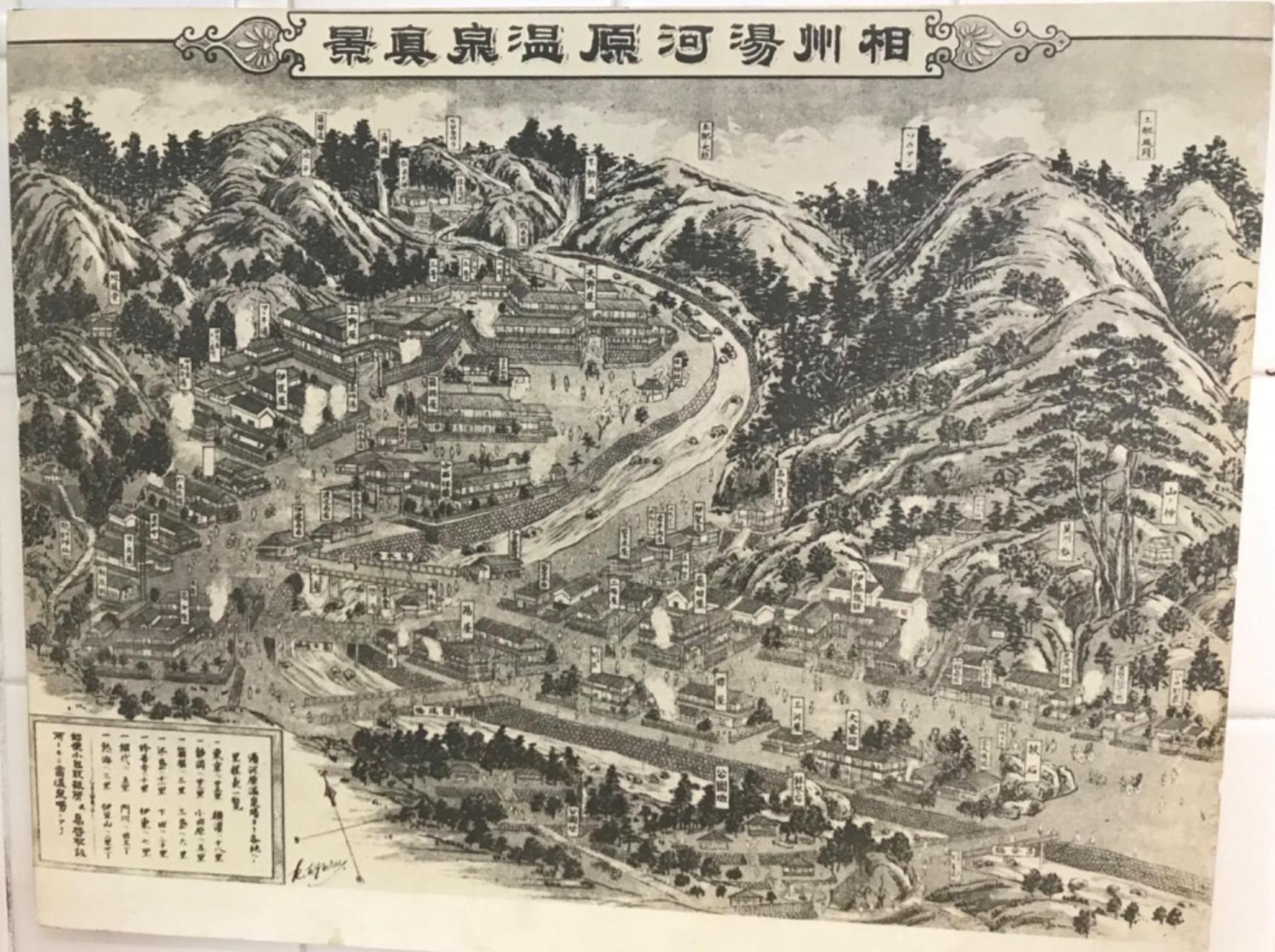 雅竹Miyabitake
