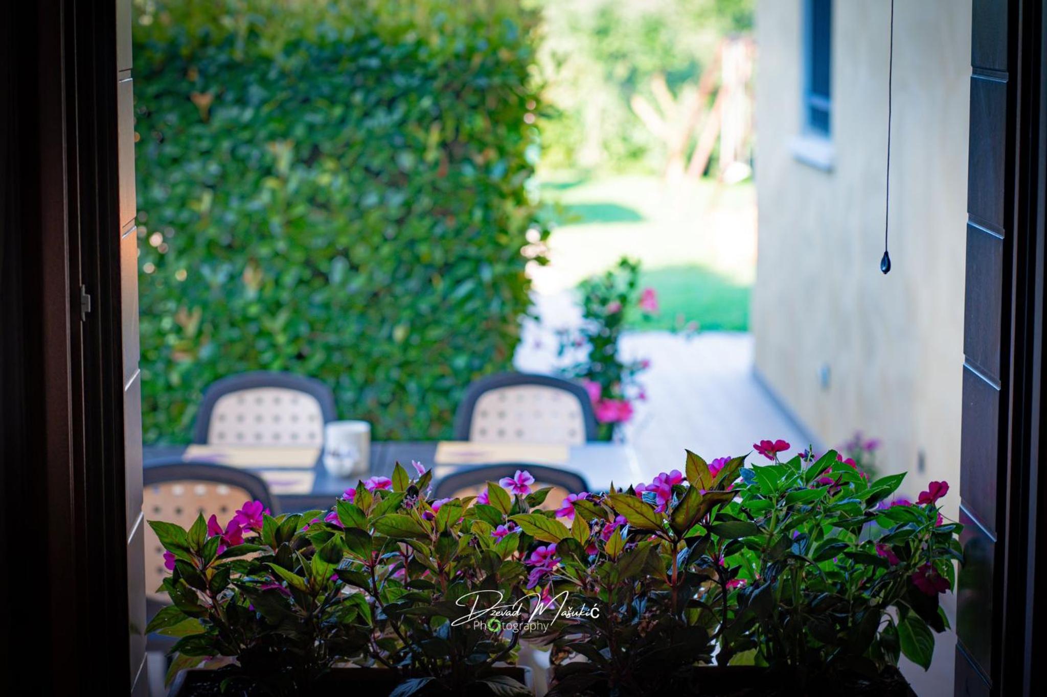 Agriturismo Olistella