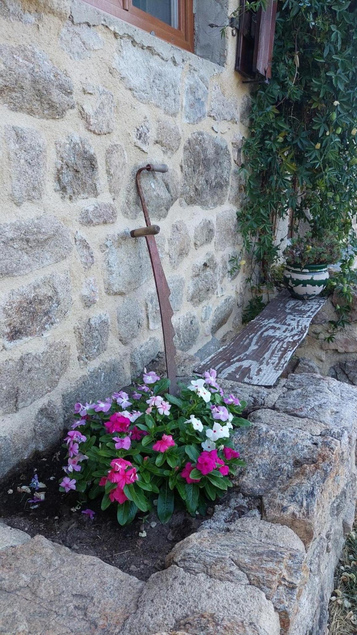 Grange De Sagne