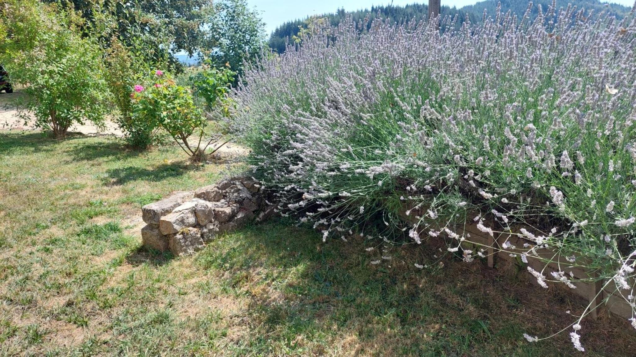 Grange De Sagne