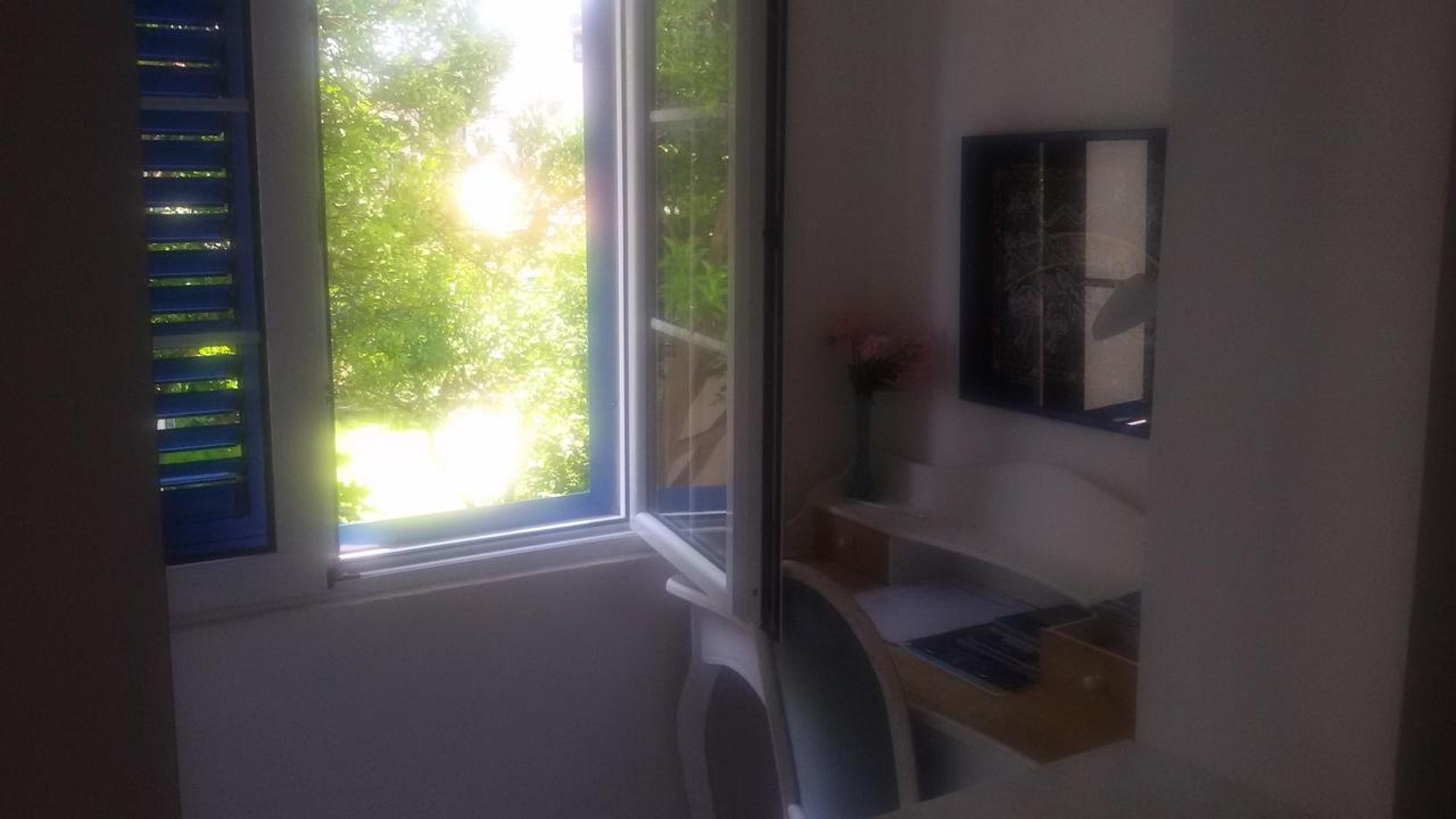 Photo 43