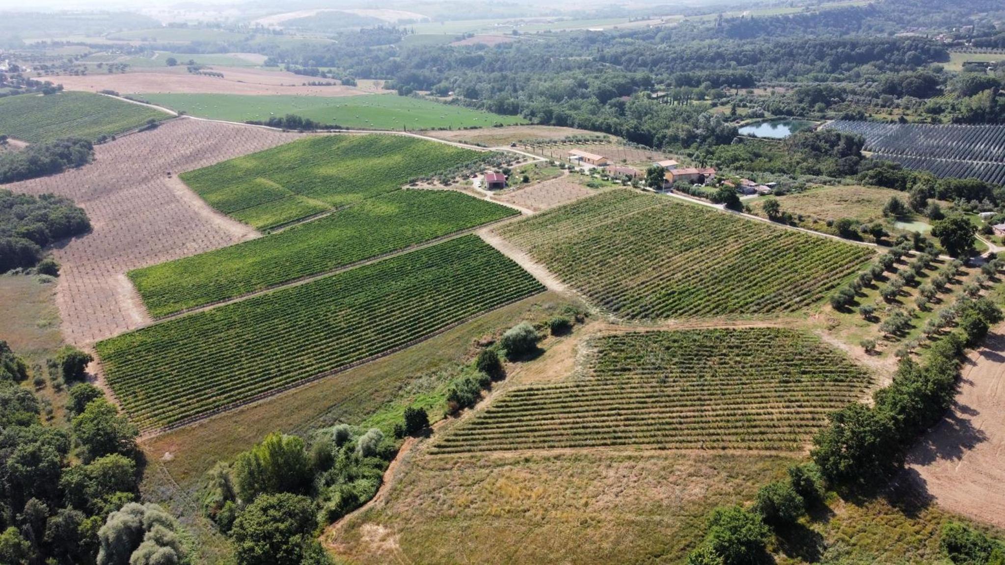 Agriturismo Podere Casa al Vento