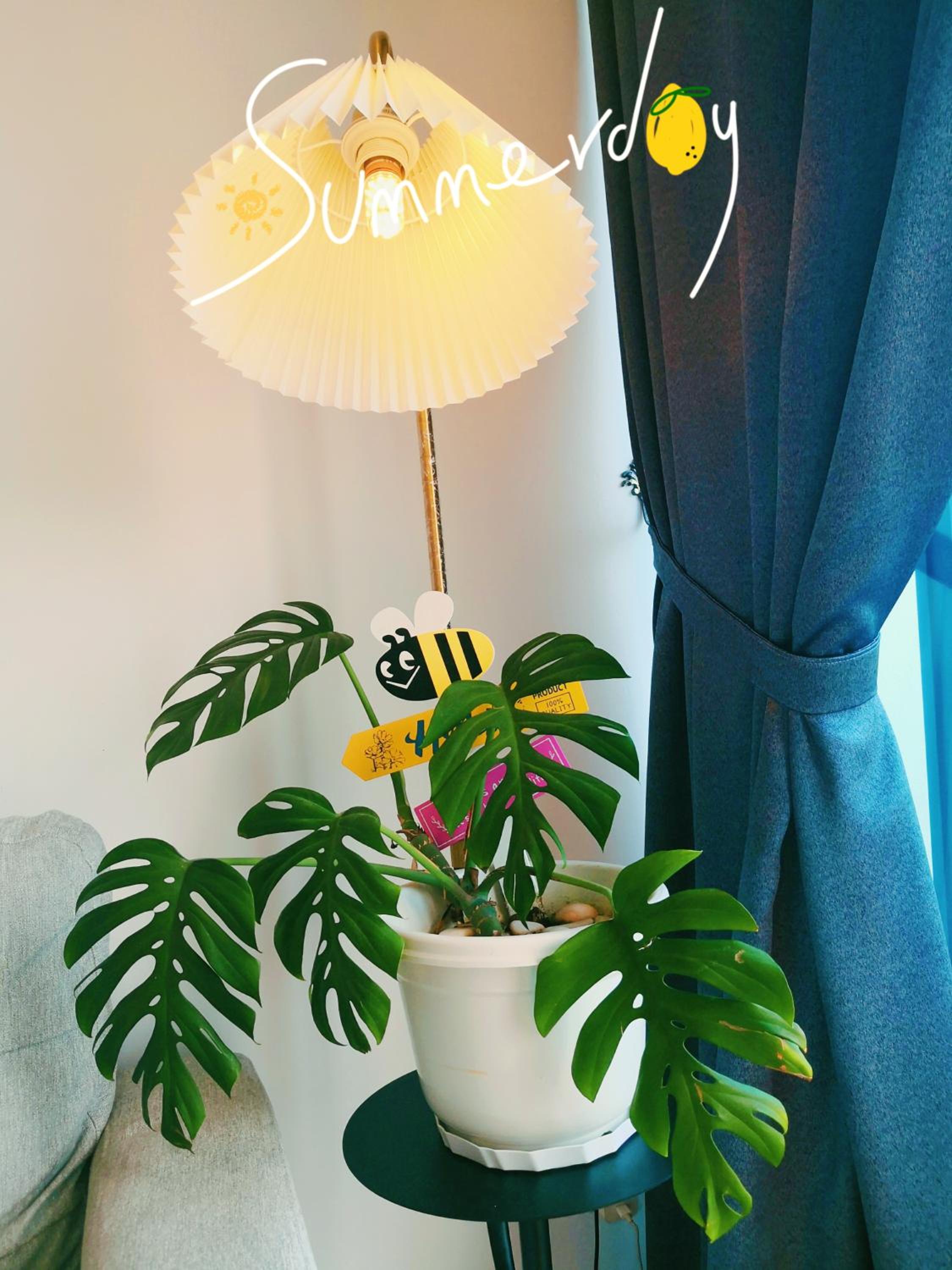 Hanns&FreeWIFI&Washer+Pool@SunshineComfortHMStay3