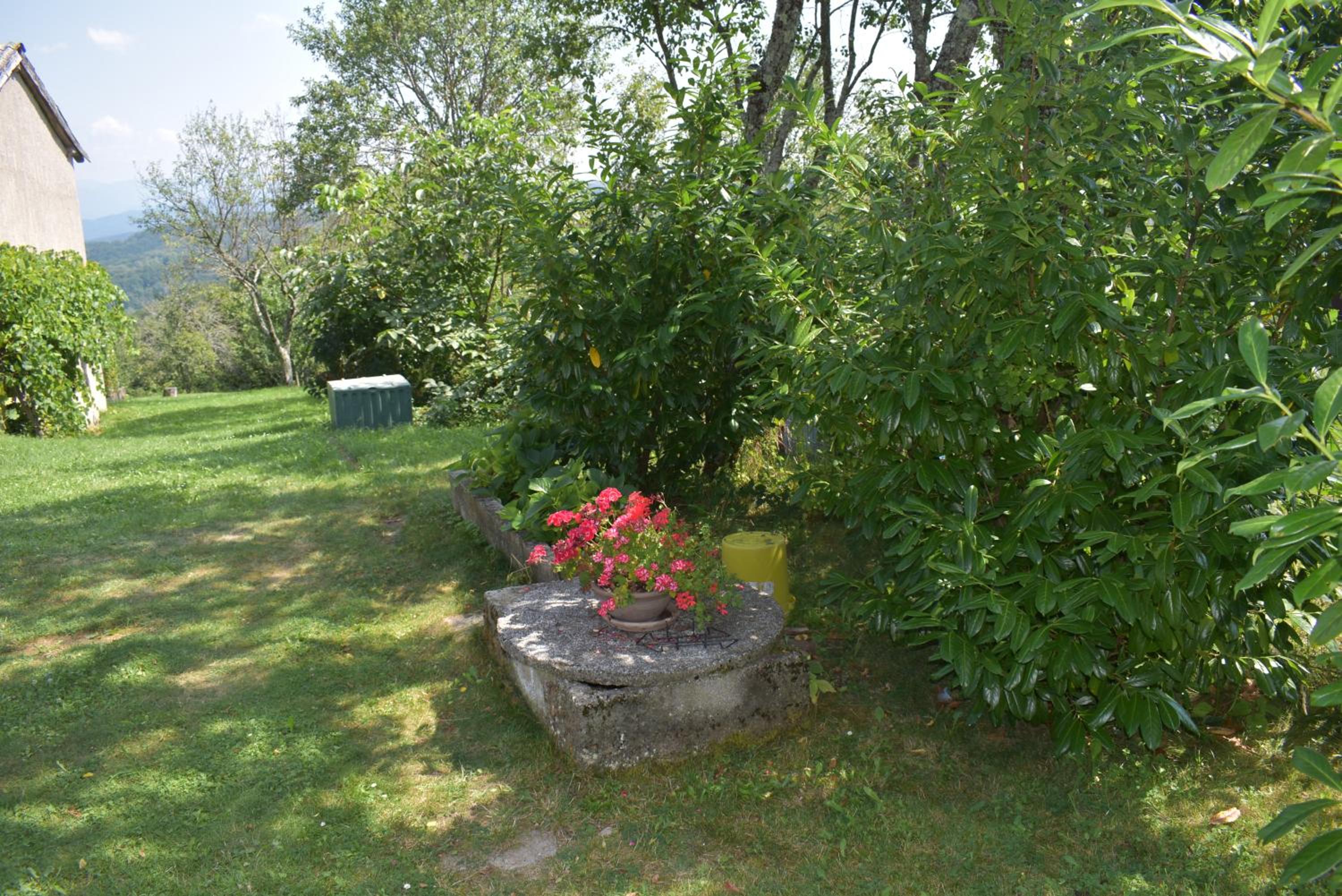 Photo 25