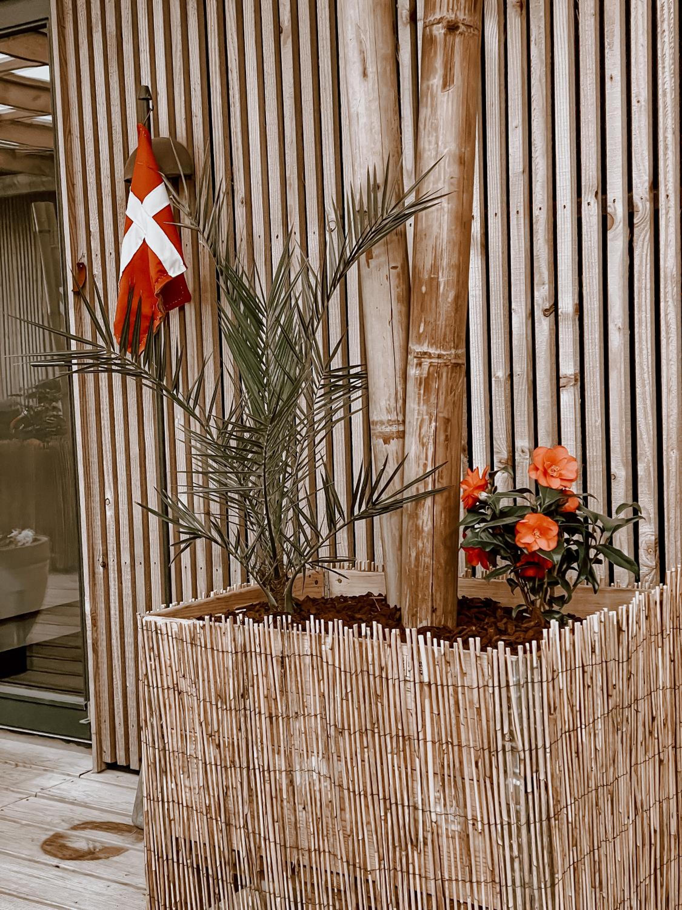 Guesthouse Klitmøller