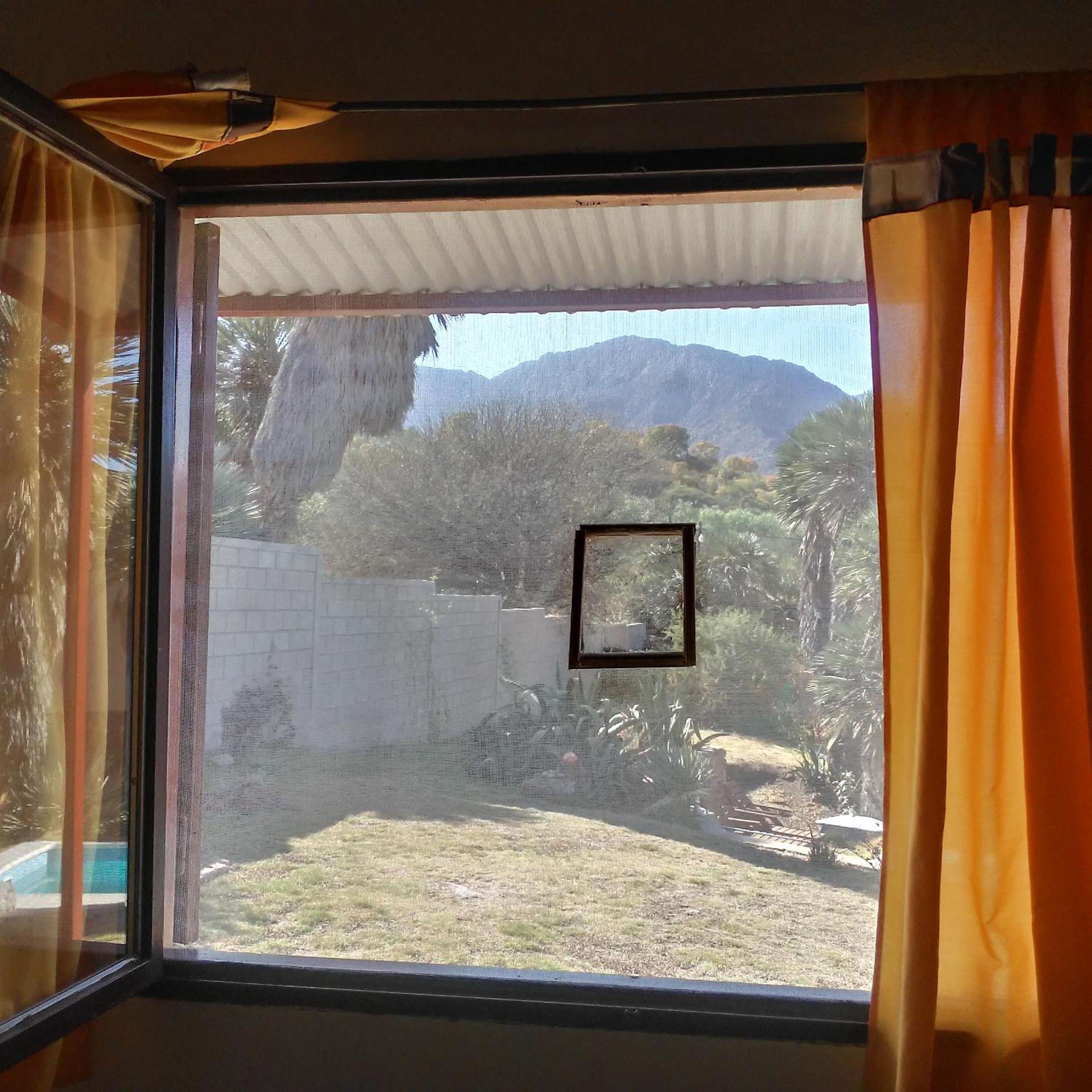 Palmares al cerro