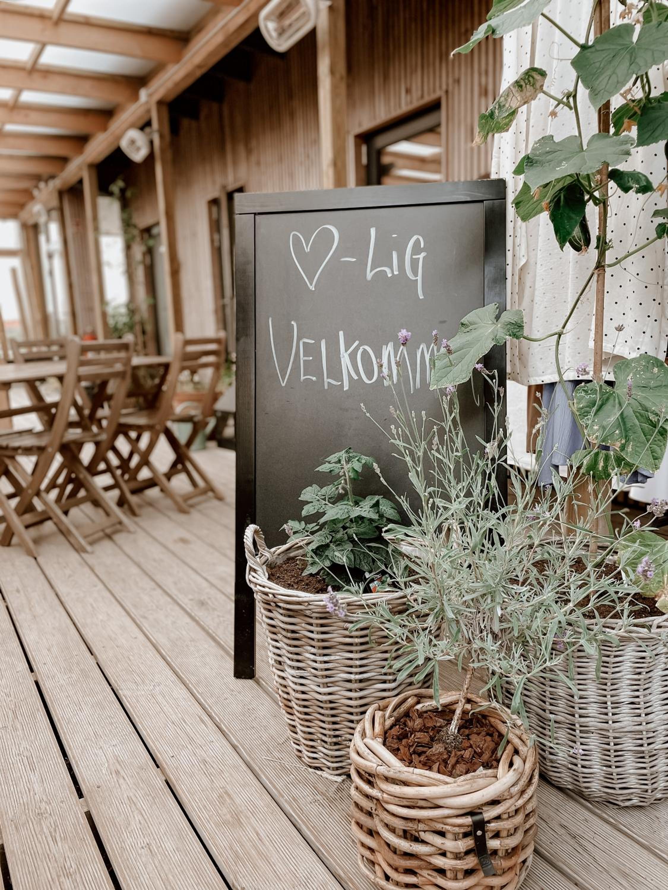 Guesthouse Klitmøller